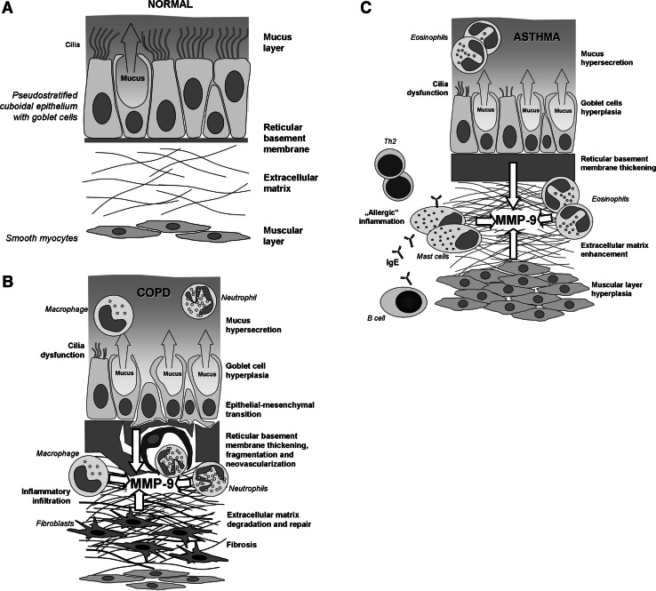 Fig. 1