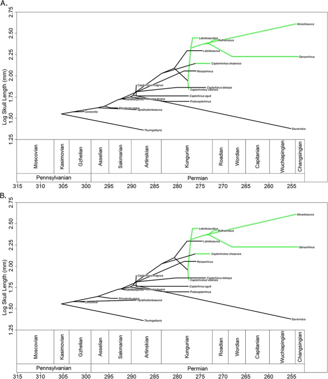 Figure 5