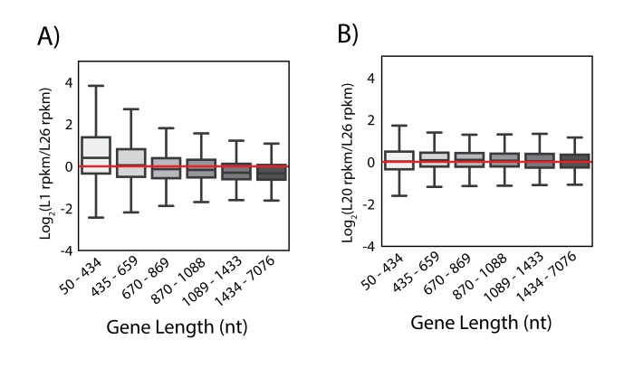 Figure 3—figure supplement 1.