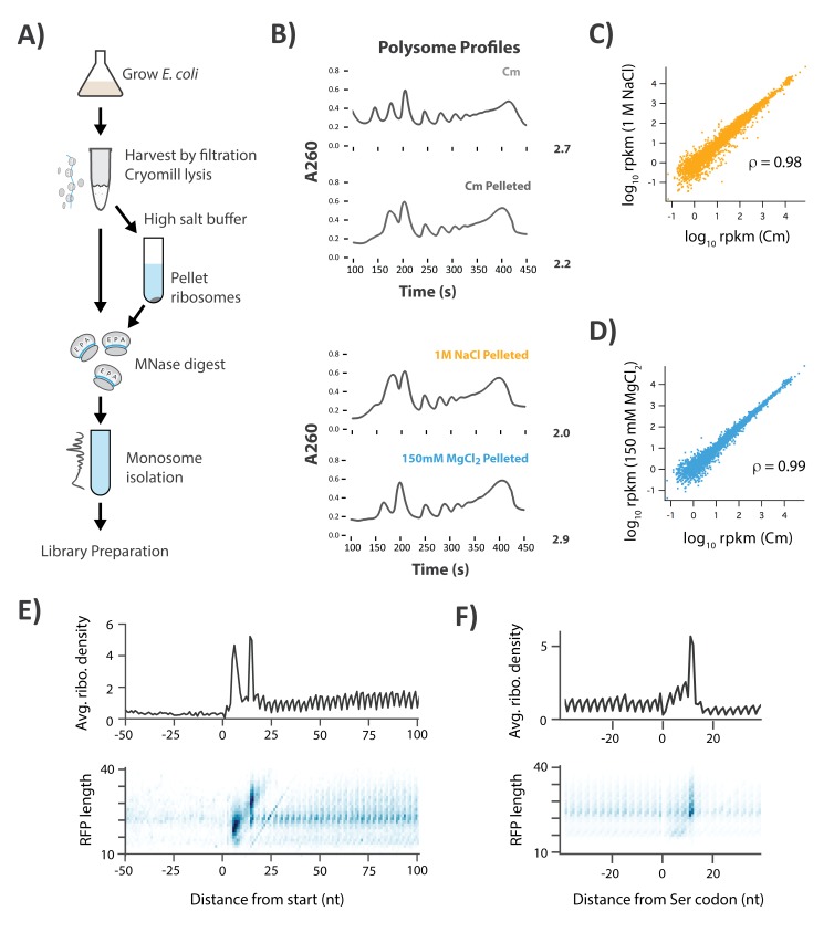 Figure 5—figure supplement 1.