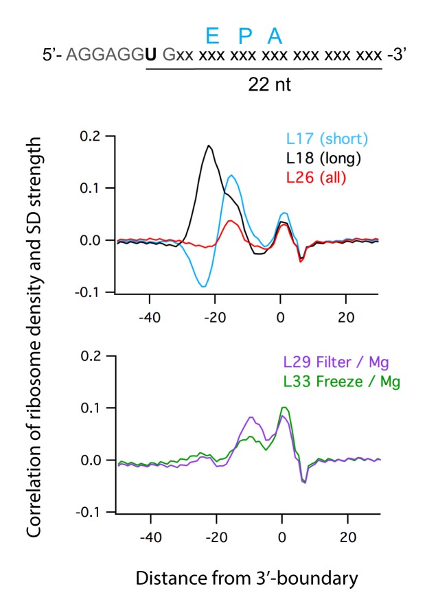 Figure 1—figure supplement 1.