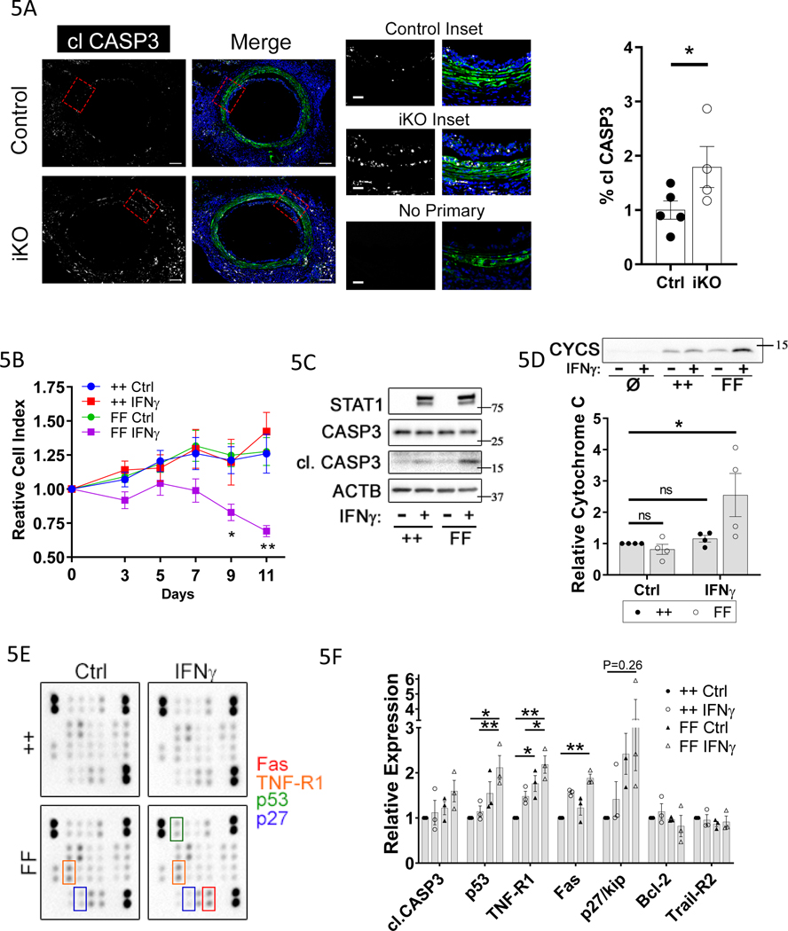 Figure 5: