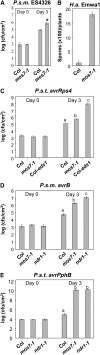 Figure 3.