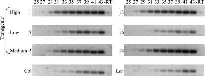 Figure 10.