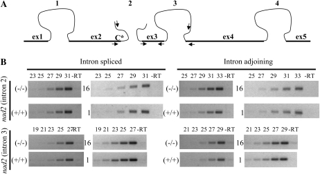 Figure 11.