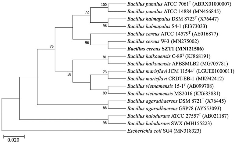 Figure 2