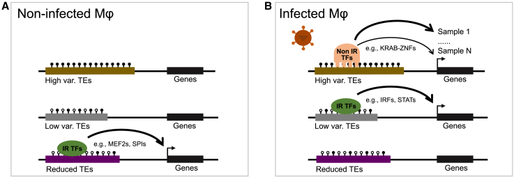 Figure 7