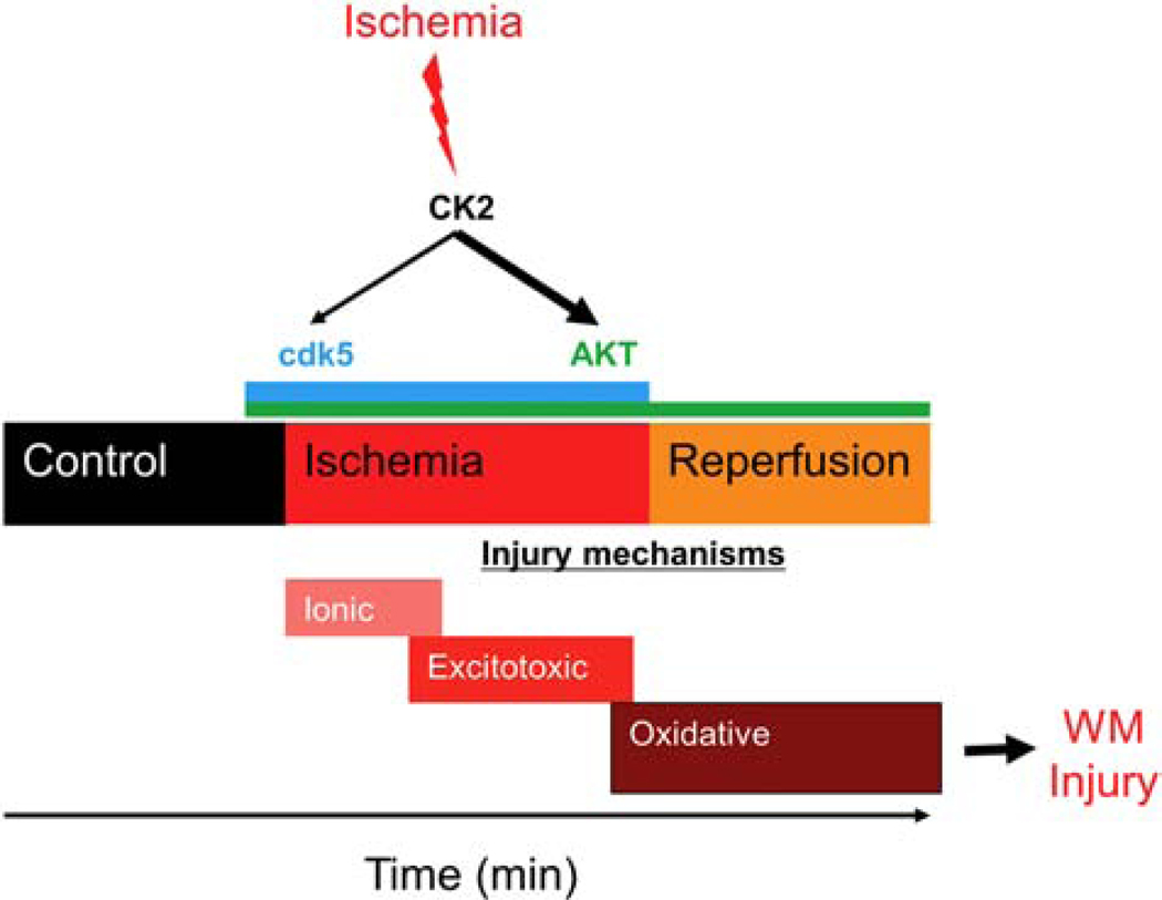 Figure 11.