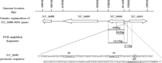 FIG. 1.