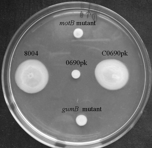 FIG. 4.