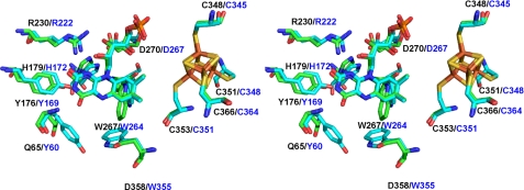 FIGURE 3.