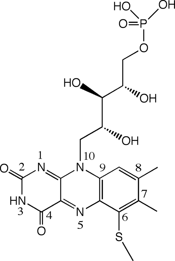 FIGURE 1.