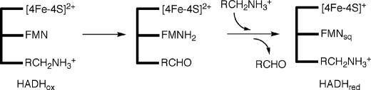 SCHEME 2