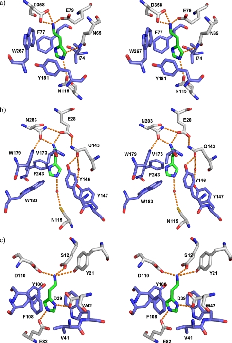 FIGURE 7.