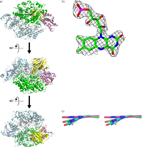 FIGURE 2.