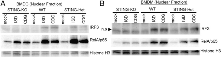 FIGURE 7.