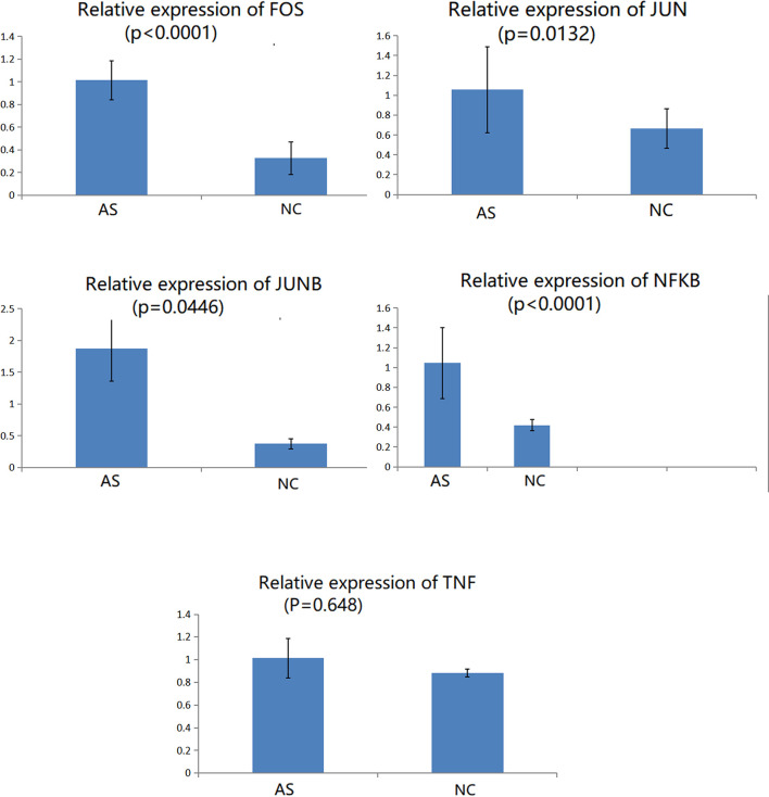 Figure 6