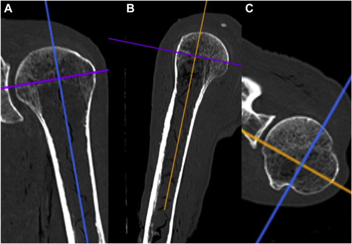 Figure 2