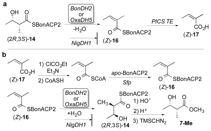 Scheme 2