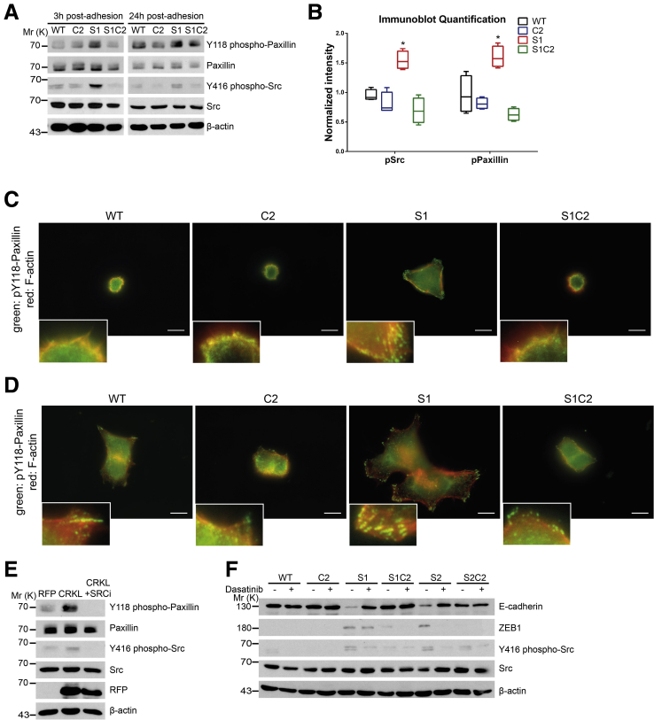 Figure 6