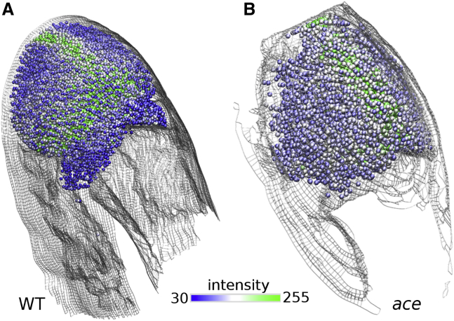 Figure 10