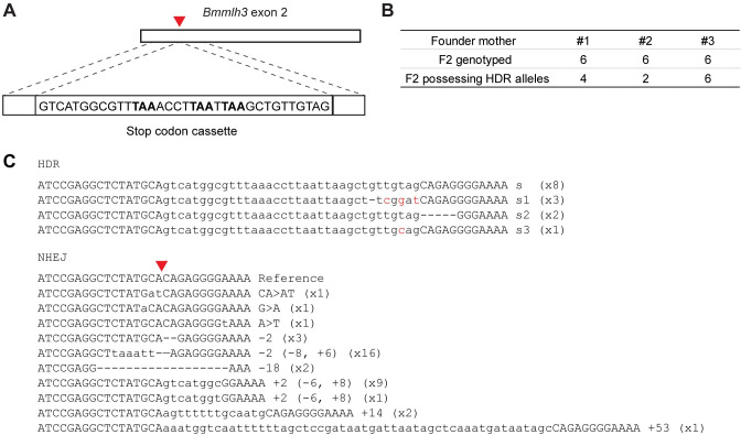 Fig 4