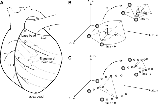 Fig. 1.