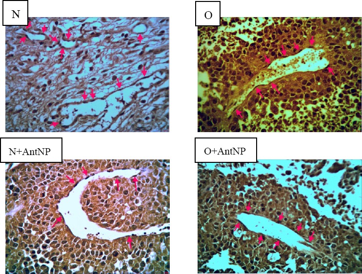 Figure 6B