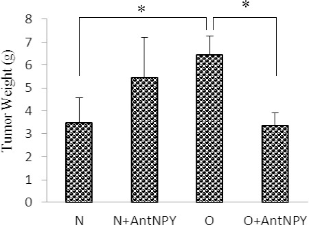 Figure 2A