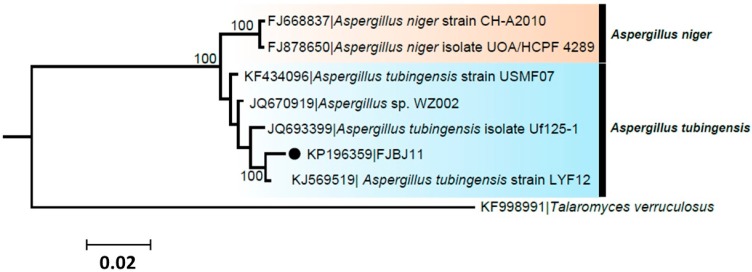 Figure 2