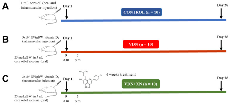 Figure 2