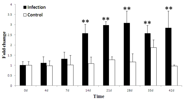 Fig 4