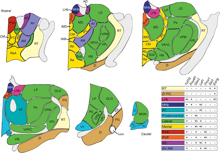 Fig. 6