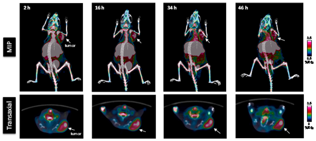 Figure 5.