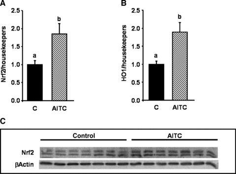 Fig 7