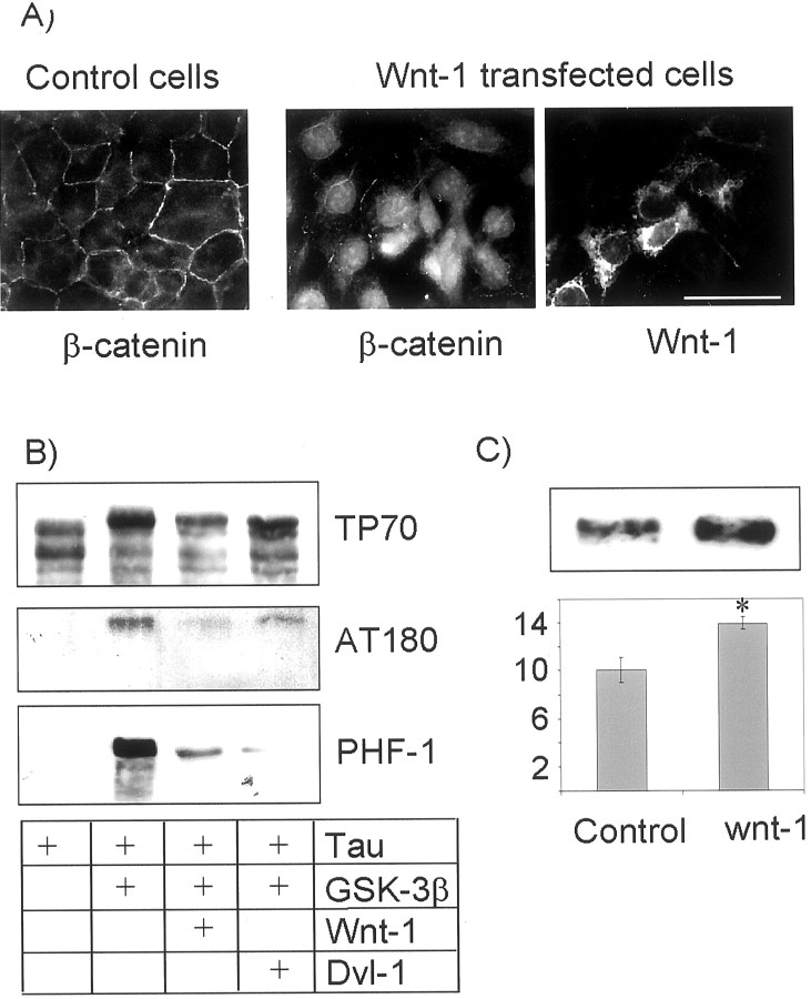 Fig. 9.