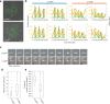 Figure 1—figure supplement 4.