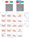 Figure 1—figure supplement 2.