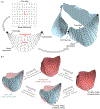 FIGURE 4.
