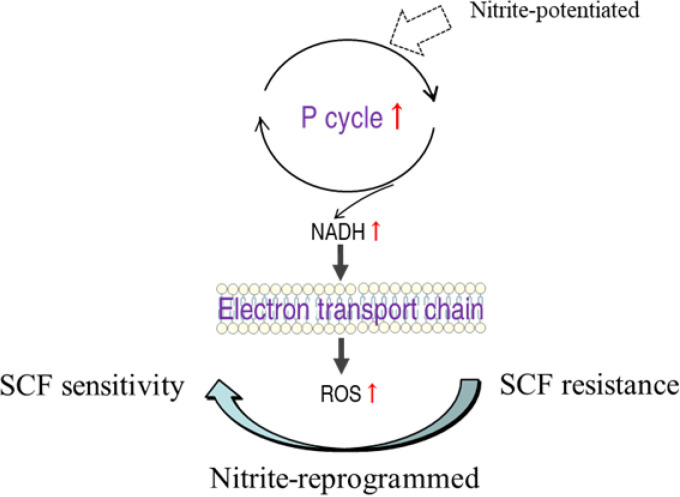 FIG 10