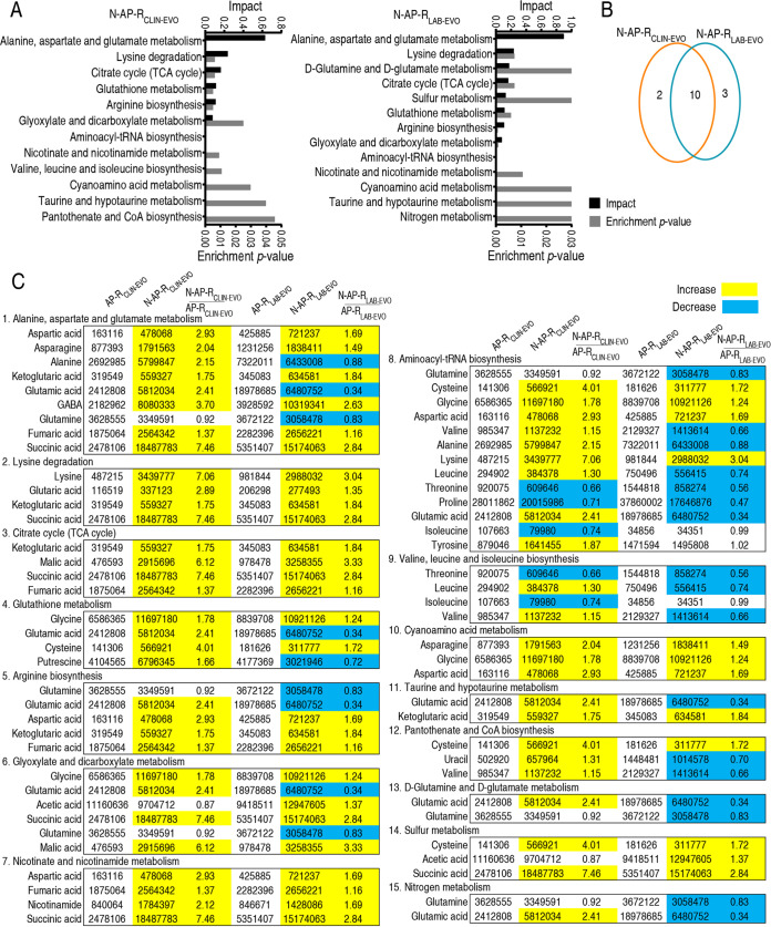 FIG 3