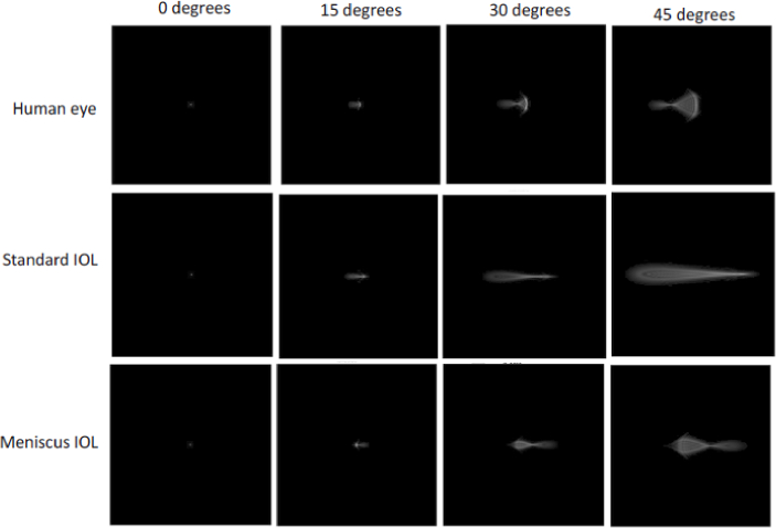 Fig. 19.