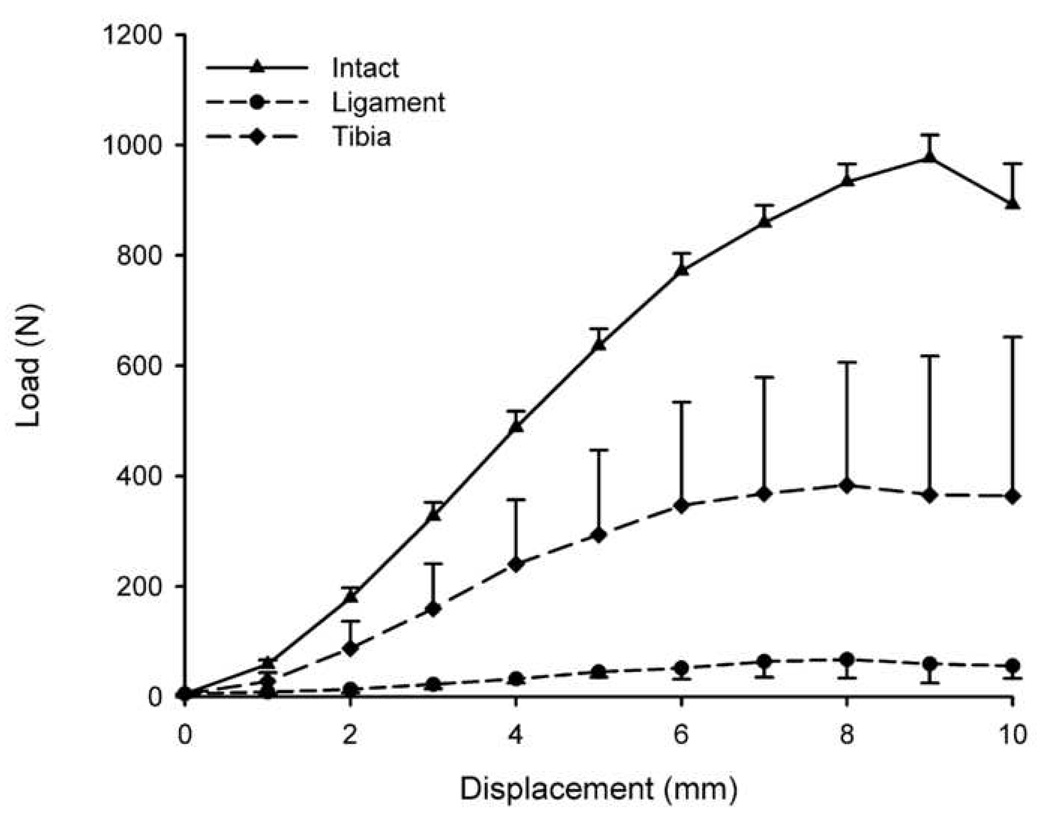 Fig. 5