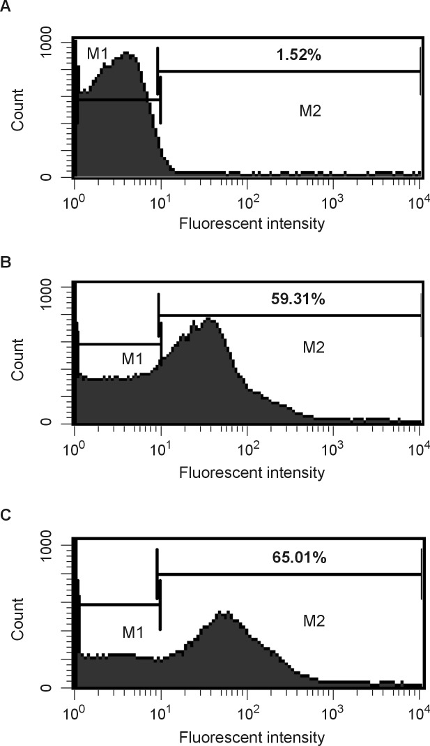 Fig 5