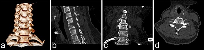 Fig. 5