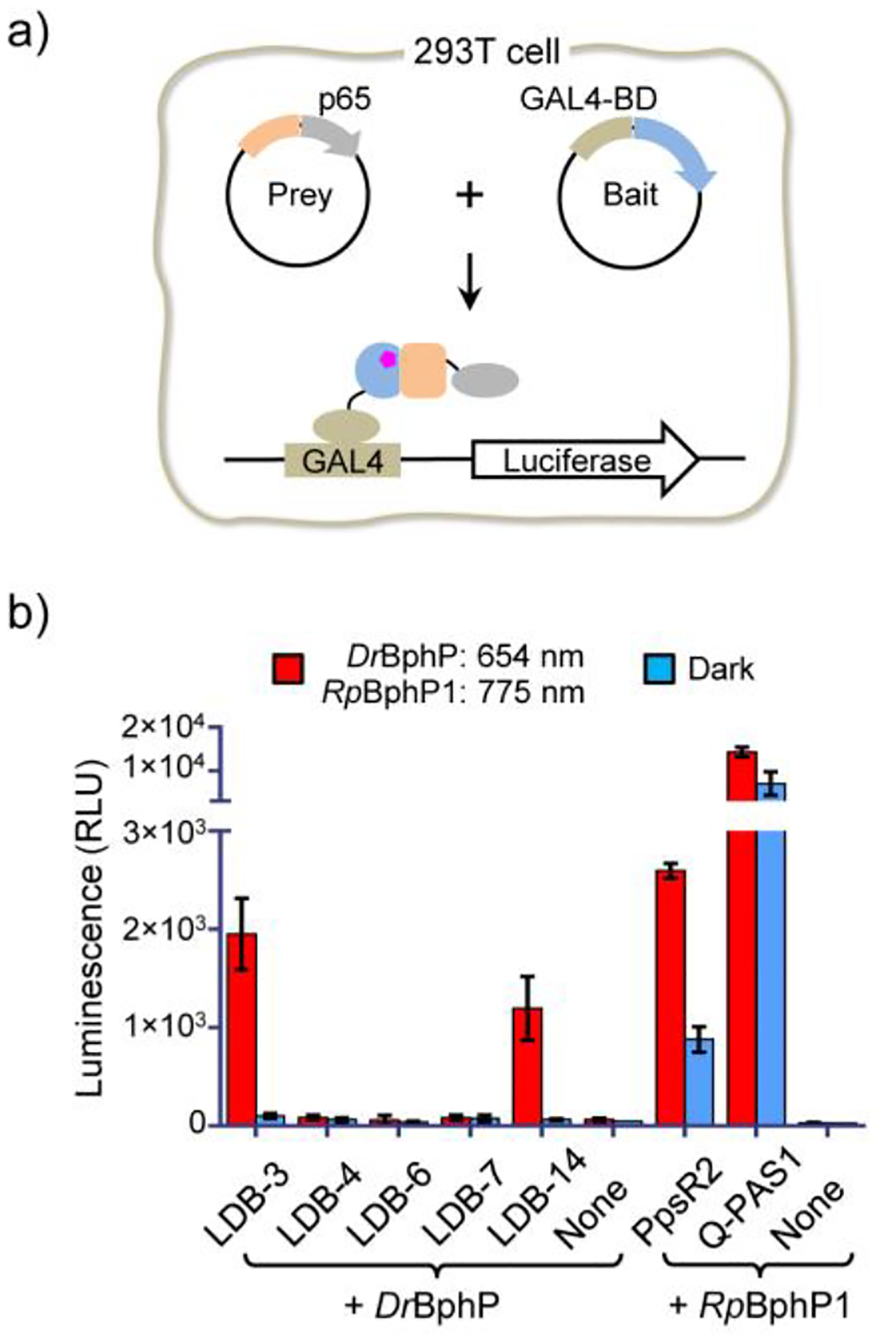 Figure 3.