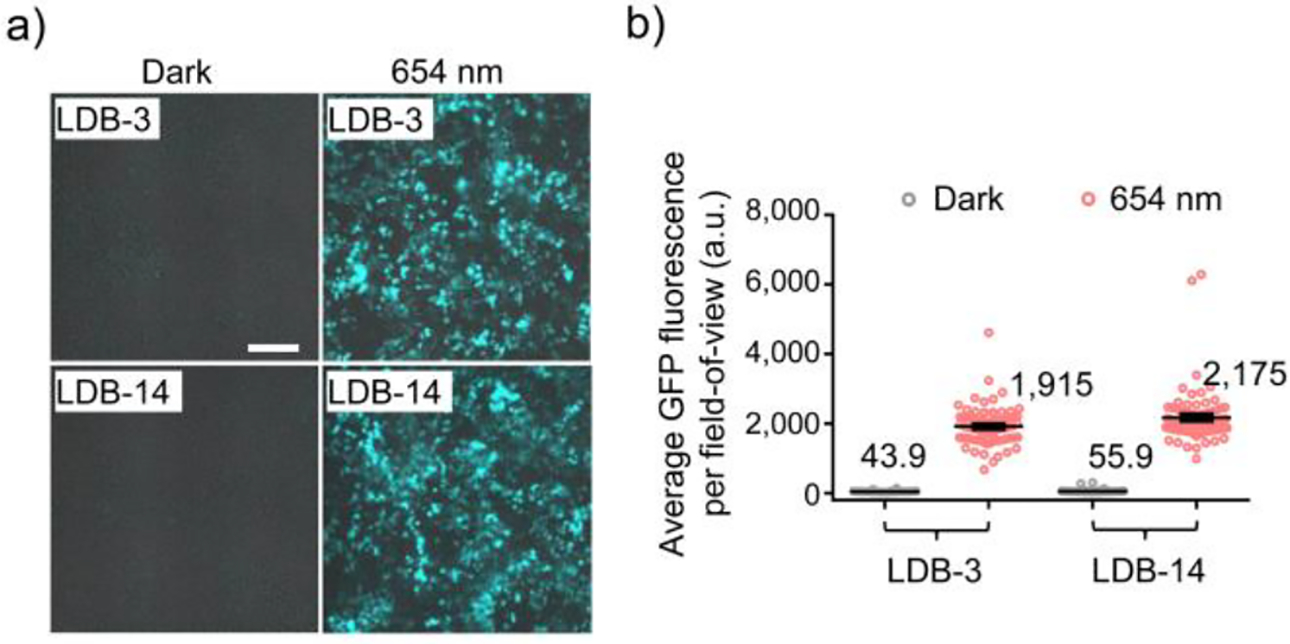 Figure 6.