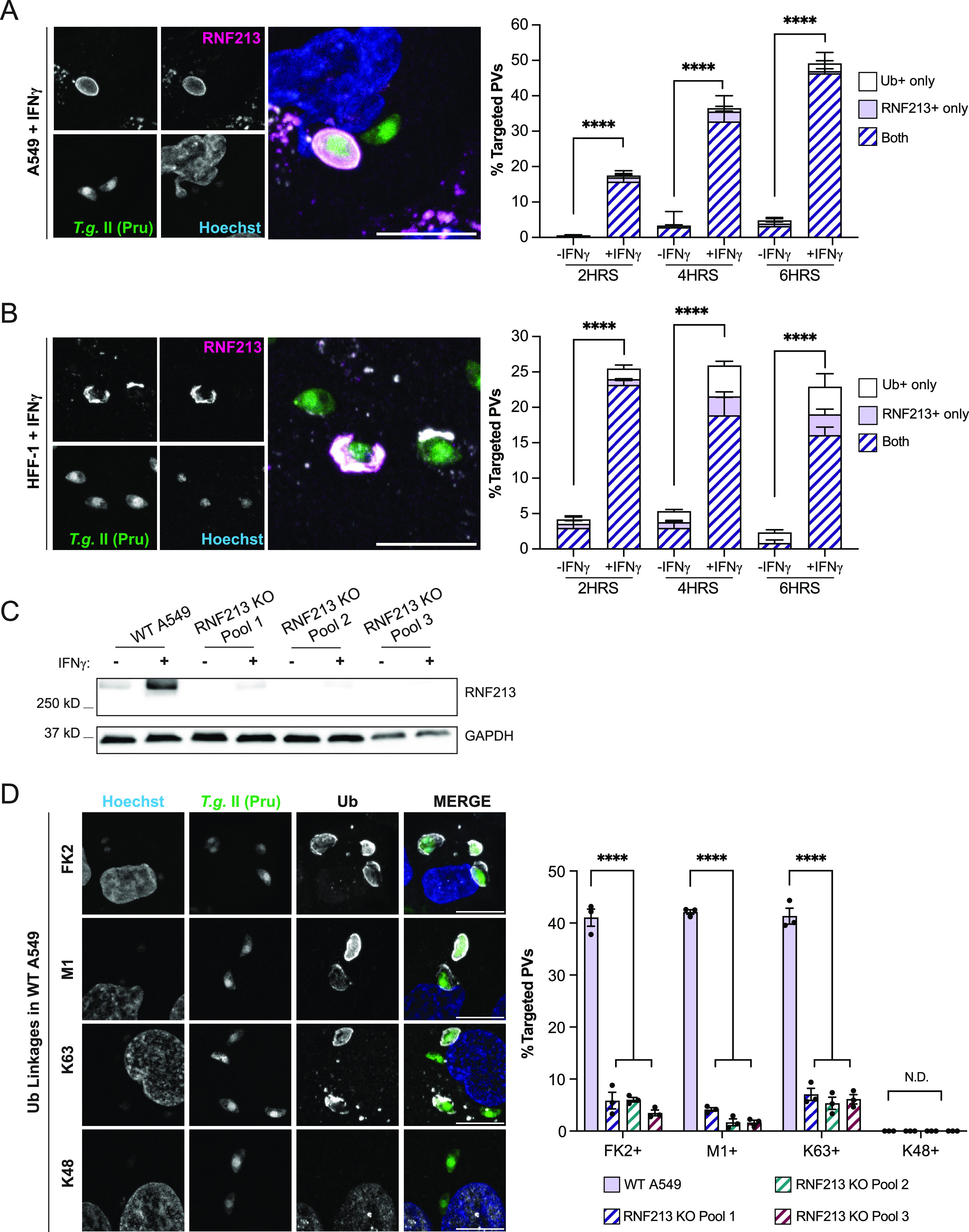 FIG 3