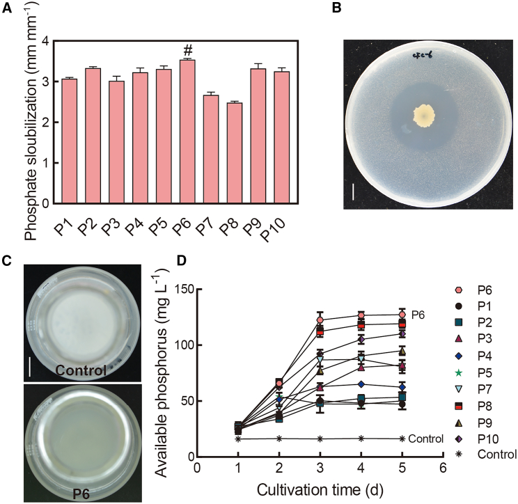 Figure 3