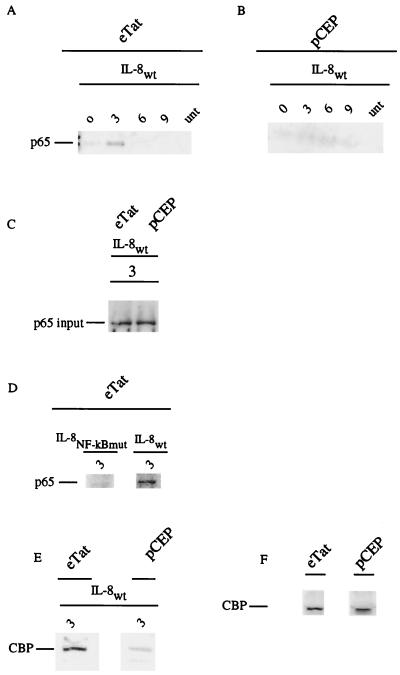 FIG. 5